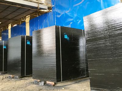 �V�����|������Ĥ��